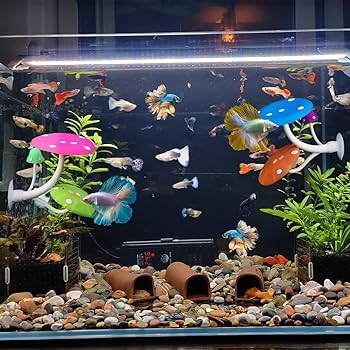 天然フジツボ　4つセット　アクアリウム飾り 楽天市場】アクアリウム 水槽 ダイバー 装飾 4点セット 水槽用